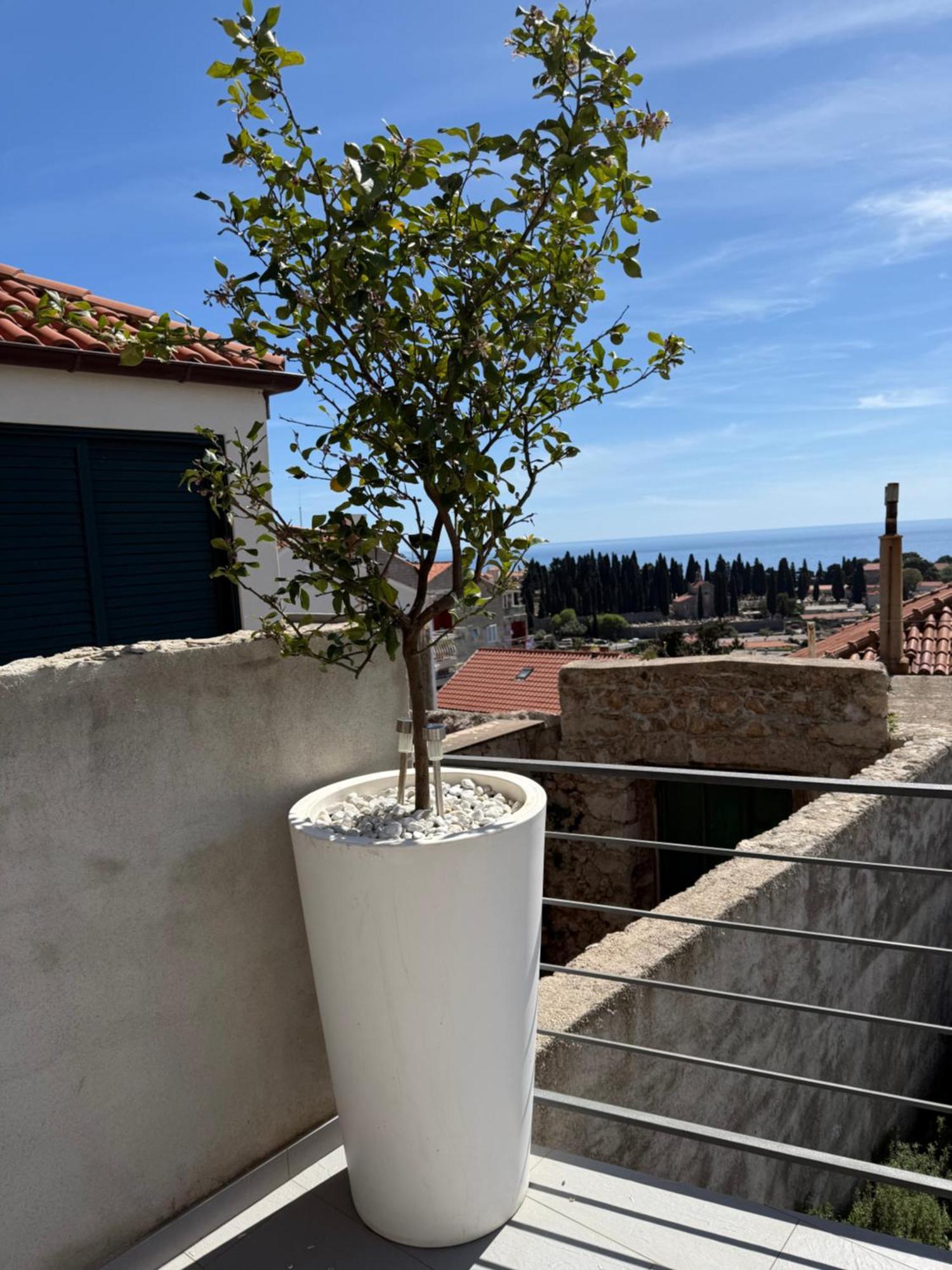 Lemon Tree Dubrovnik Apartments Kültér fotó